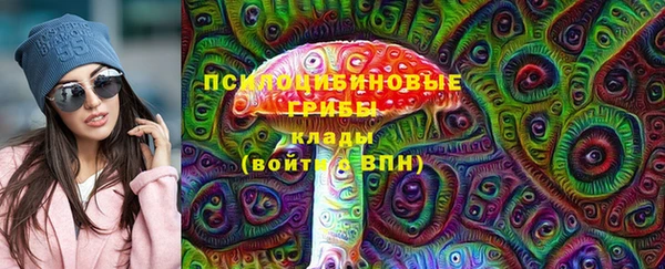 первитин Няндома