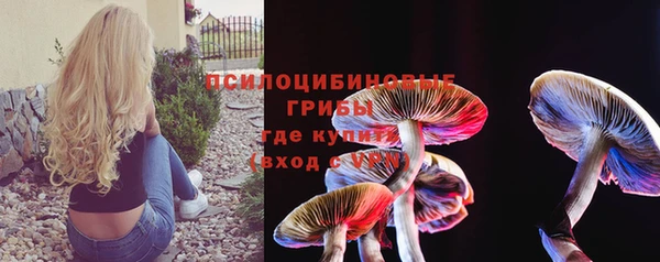мет Осинники