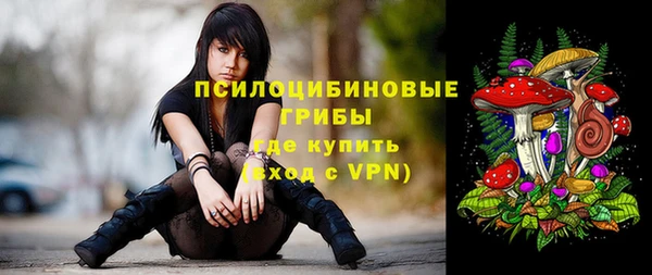 мет Осинники