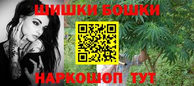 индика Гусев