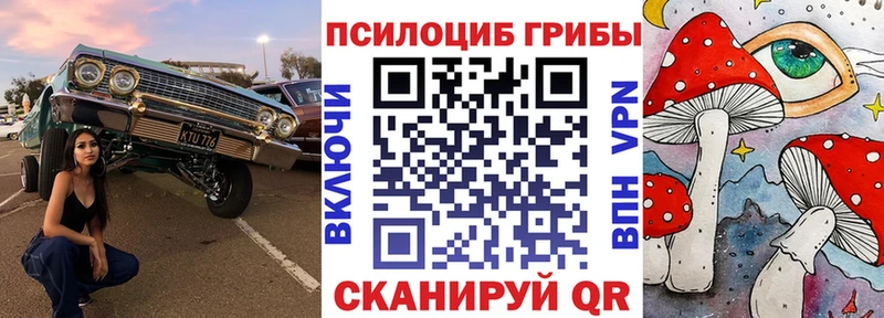 Галлюциногенные грибы ЛСД  даркнет сайт  Красноармейск 
