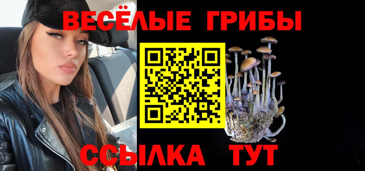 наркошоп  Красноармейск  Галлюциногенные грибы мицелий  Псилоцибиновые грибы Psilocybine cubensis 